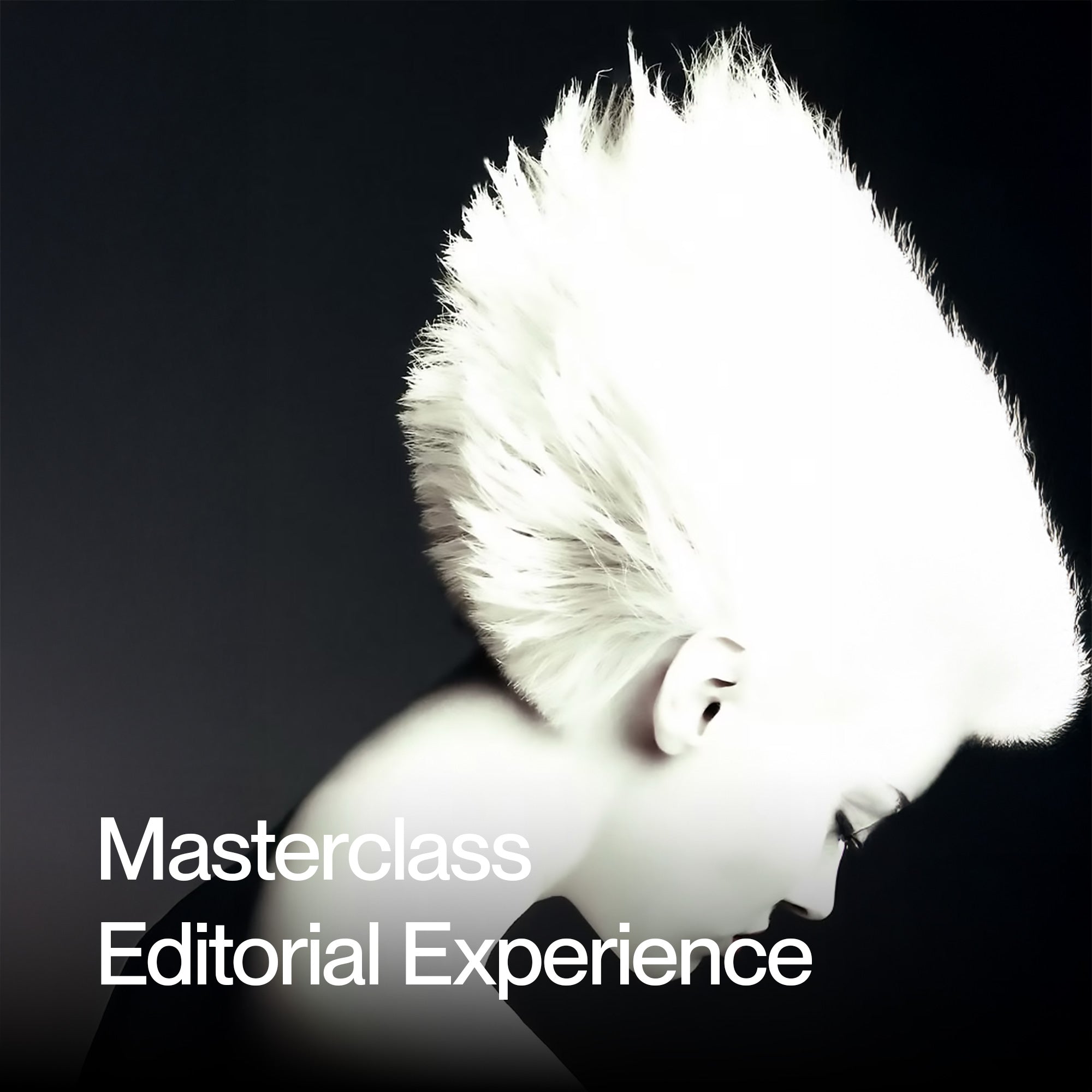 Masterclasses Kuro Hair Academy