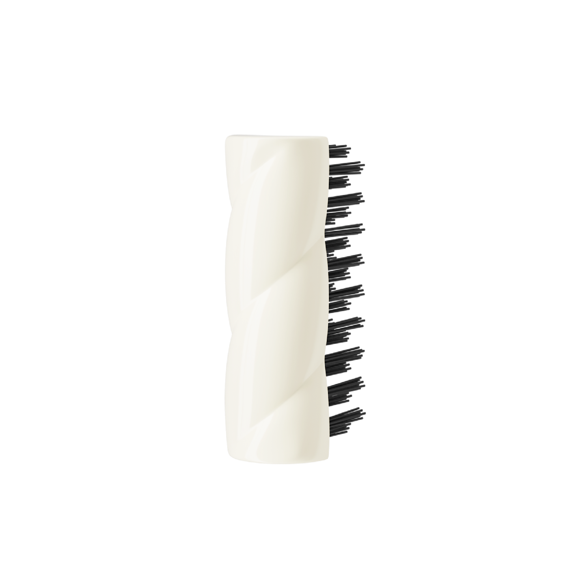 The Cleaning Brush - Accessory